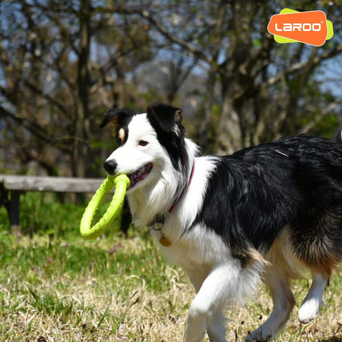 LaRoo Dog Flying Ring Toys, Durable Floating Disc for Training Outdoor Play for Medium Large Dogs (Small Green/18cm)