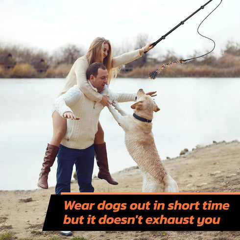LOOBANI Flirt Pole for Dogs, 48.8in Extendable Teaser Wand with Detachable Interactive Toys