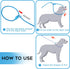 Slip Leads for Dogs, Comfortable 6 FT Heavy Duty Loop Leash, No Pull Training Leash in 6 Classic Colors - Blue