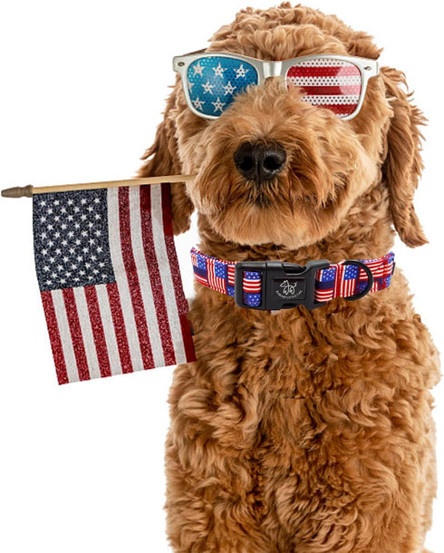 Elegant Little Tail Independence Day Dog Collar, Holiday Patriotic Durable Collar for Small Medium Large Dogs, Pet Gift