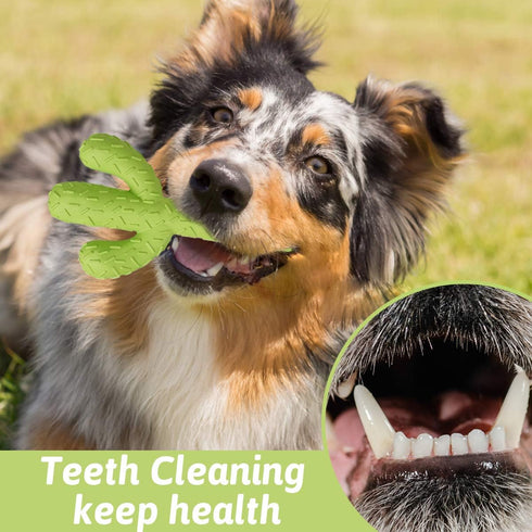 MewaJump Tough Rubber Dog Chew Toys for Aggressive Chewers, Cactus Dog Toys for Medium/Large Dog Training