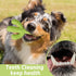 MewaJump Tough Rubber Dog Chew Toys for Aggressive Chewers, Cactus Dog Toys for Medium/Large Dog Training