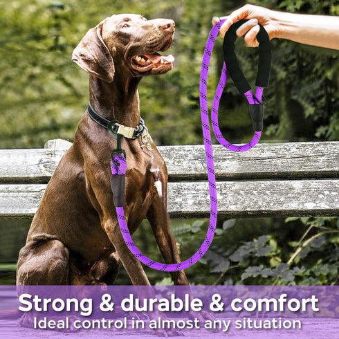 COOYOO Dog Leash, 5/6 FT with Comfortable Padded Handle and Highly Reflective Threads for Small Medium Large Dogs