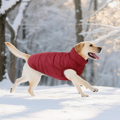 ASENKU Waterproof Windproof Dog Winter Coat, Warm Snowproof Puffer Vest for Small Medium Large Dogs (M, Red)