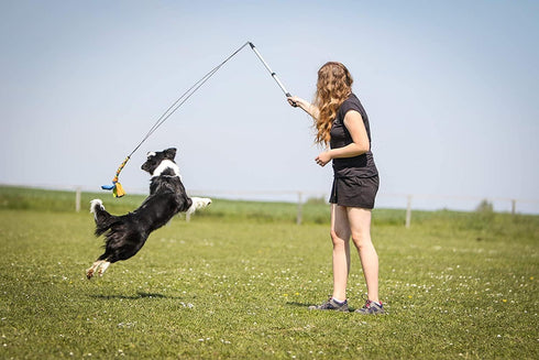 Flirt Pole for Dogs - Safe & Strong for Large Breeds - Heavy-Duty Teaser Wand for Tug of War and Puppy Training