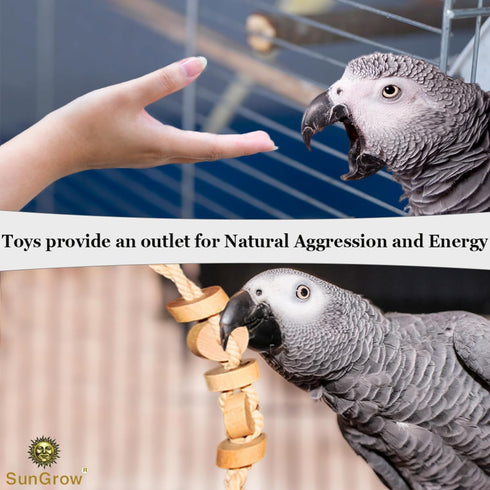 SunGrow Parakeet Wooden Chew Toy Hanging Wood Cookies for Pecking Chewing Great for Parrots Macaws African Grays &