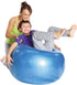 GYMNIC Body Ball for Core Strengthening