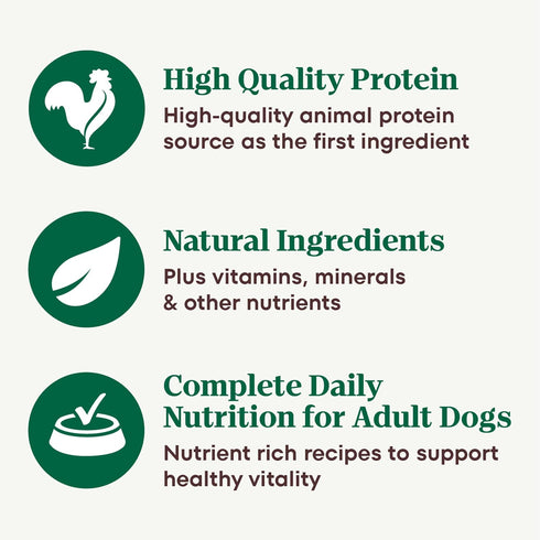 Pack, 3.5 oz. (12 Count, Pack 2) Nutro Natural Choice Cuts in Gravy Wet Dog Food, Grain Free Dog Food Wet Lamb and Beef
