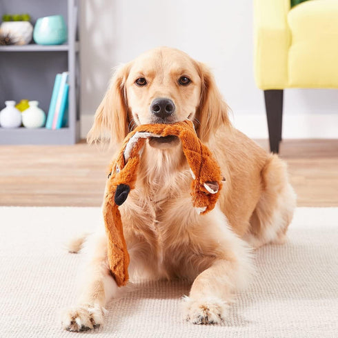 SPOT Skinneeez Extreme Quilted Chipmunk Dog Toy - Durable, Stuffing Free, 4 Layers, 2 Squeakers, 23in for Medium and