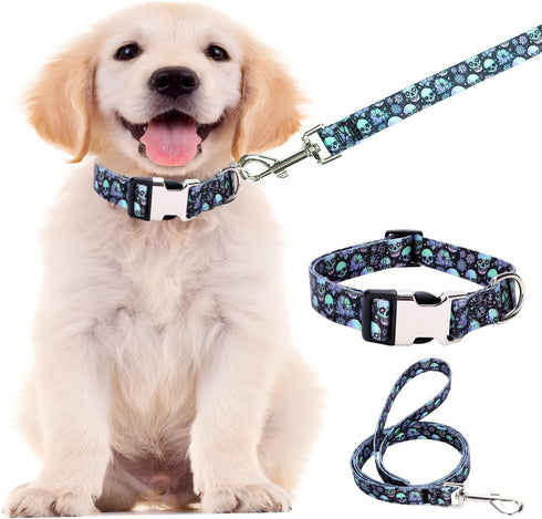 Dog Collar and Leash Set for Daily Outdoor Walking Running Training,Design for Large Boys Girls Dogs Cats Pets(L)