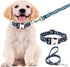 Dog Collar and Leash Set for Daily Outdoor Walking Running Training,Design for Large Boys Girls Dogs Cats Pets(L)