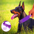 Reflective Dog Collar Heavy Duty Tactical with Control Handle and Metal Buckle for Dog Training (Large, Purple)