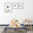 suddus Elevated Dog Bed, Waterproof Outdoor Portable Raised Dog Bed, Easy Clean Indoor or Outdoor Use, Medium, Blue