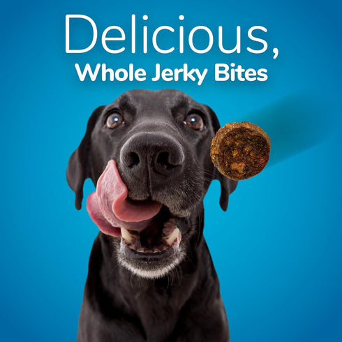 Fruitables Small Dog Treats, Whole Jerky Bites, Healthy Turkey & Sweet Potato Flavor, 5 Ounces