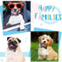 16 Pieces Hawaiian Style Dog Bow Ties with Rubber Bands, Slide Dog Collar Attachment for Large Dogs, Spring Summer