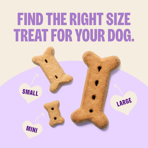 20 oz Wellness Old Mother Hubbard Hip & Joint Dog Biscuits, Natural Training Treats, Chicken, Apple, Oats, and Carrot