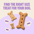 20 oz Wellness Old Mother Hubbard Hip & Joint Dog Biscuits, Natural Training Treats, Chicken, Apple, Oats, and Carrot