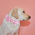 Watermelon Print Dog Collar, Elegant Little Tail Adjustable Cotton Pet Collar for Medium Dogs with Durable Metal Buckle