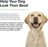 Terry Naturally Animal Health Omega Skincare - 8 fl oz with Omega-3, -6, -9, Canine Only - 47 Servings