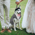 Kuoser Dog Tuxedo Suit and Bandana Set for Dogs - Wedding Party Suit, Doggy Prince Bow Tie Shirt Formal Pet Attire for