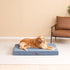 EHEYCIGA Orthopedic XL Dog Beds for Extra Large Dogs, Spa Blue, 44x32 with Removable Washable Cover