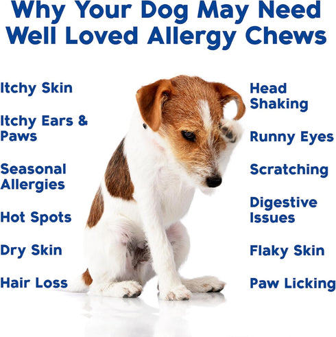 120 Well Loved Dog Allergy Chews - Dog Allergy Relief, Itching Skin Relief, Hot Spot Treatment & Seasonal Allergies