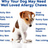 120 Well Loved Dog Allergy Chews - Dog Allergy Relief, Itching Skin Relief, Hot Spot Treatment & Seasonal Allergies