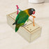 Bird Foraging Feeder Toy Training Intelligence Box Wooden for Parrot, Budgie, Parakeet, Cockatiel, Conure, African Grey