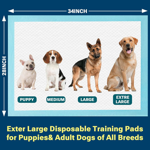 CLEAN SPACES 28"x34",Super 100 Count Extra Large Puppy Pads Absorbent Disposable Pee Pads for Dogs / Wee Wee Pads /