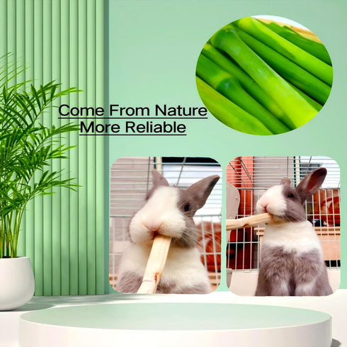 300g Chinchilla Snacks Sweet Bamboo Chew Toy for Rabbits Chew Sticks for Hamster Guinea Pig,Molar Treats Snack