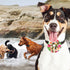 12pcs Dog Collar Flowers with Beads, Pet Collar for Small and Medium Dogs, Grooming Accessories Attachment