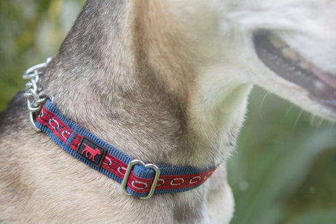 Tuff Pupper Martingale Collar for Dogs, Adjustable No Pull Training Collar, Gentle Nylon & Steel Chain, Large (18-26"
