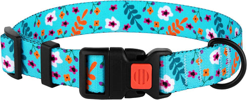 Nylon Dog Collar Floral Pattern Aquamarine, 12-16 Inch