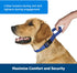 PetSafe Martingale Dog Collar with Quick-Snap Buckle, Large 1 Inch, Royal Blue