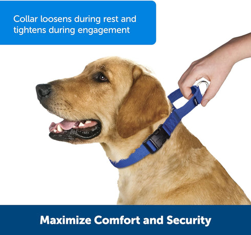 PetSafe Martingale Collar, Quick Snap Buckle, 3/4" Medium, Red