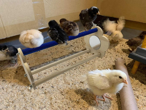 Vehomy Chicken Perch for Chicks Chicken Wood Stand with Mirrors Chick Stand Trainning Perch Toy Chicken Swing Chicken