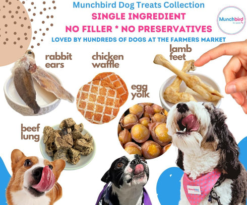 Dehydrated Rabbit Ears for Dogs & Cats, Whole Rabbit Ears with Fur, 100% Single Ingredient (Pack of 10)