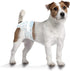 12" 15" 12 Count Four Paws Wee-Wee Super Absorbent Disposable Adjustable Dog Potty Training Diapers, Leak-Proof