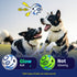 2 Pack, 3.14 inch Giggle Ball for Dogs Glowing Interactive Dog Toys Balls, Rolling Squeaky Toy for Large Medium Small