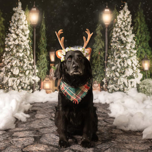 FLAdorepet Pet Cat Dog Elk Antler Deer Horn Headband for Halloween Christmas Dog Costume Outfits