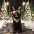 FLAdorepet Pet Cat Dog Elk Antler Deer Horn Headband for Halloween Christmas Dog Costume Outfits