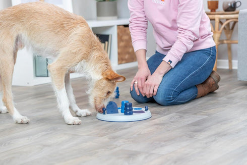 TRIXIE Dog Activity Flip Board XXL Level 2 Strategy Game, Interactive Dog Puzzle Toy for Enrichment & Play