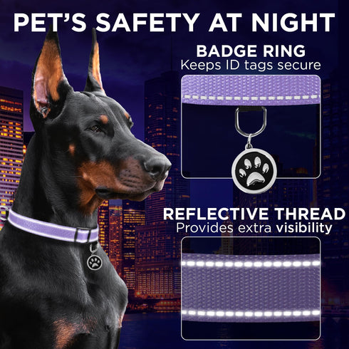 TECEUM Reflective Pet Collar – Lavender XL, Basic Nylon Dog Collar with Quick Release Buckle for Dogs & Cats