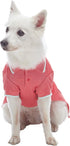 Blueberry Pet Back to School 2-Pack Dog Polo Shirts in Mint Blue + Terra Cotta Red, Back Length 10 inch