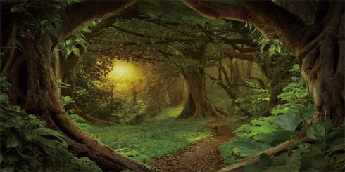 AWERT 72x24 inches Psychedelic Forest Terrarium Background, Dim Old Trees Woodland Reptile Habitat Vinyl Background