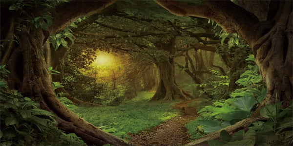 AWERT 72x24 inches Psychedelic Forest Terrarium Background, Dim Old Trees Woodland Reptile Habitat Vinyl Background