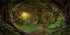 AWERT 72x24 inches Psychedelic Forest Terrarium Background, Dim Old Trees Woodland Reptile Habitat Vinyl Background