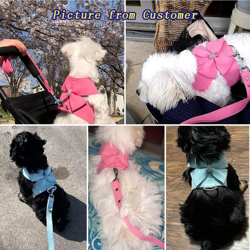 Ranphy Dog Harness and Matching Leash Set, Adjustable Bling Rhinestone No-Pull Puppy Vest for Yorkie Chihuahua Small