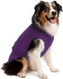 Veterinary Approved Disposable Dog Diapers Keeper - Perfect Fit for Male & Female Dogs