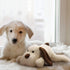 Puppy Heartbeat Toy for Anxiety Relief and Sleep Aid for Puppies - White